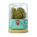 Delta - 8 7g Flower - Gouda (Indica) - Kannabliss Exotics