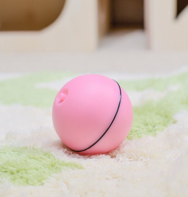 LED Laser Electronic Rolling Pet Funny Cat Toy Ball - Kannabliss Exotics