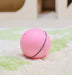 LED Laser Electronic Rolling Pet Funny Cat Toy Ball - Kannabliss Exotics