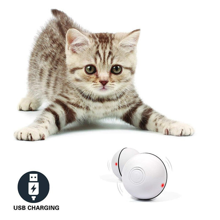 LED Laser Electronic Rolling Pet Funny Cat Toy Ball - Kannabliss Exotics